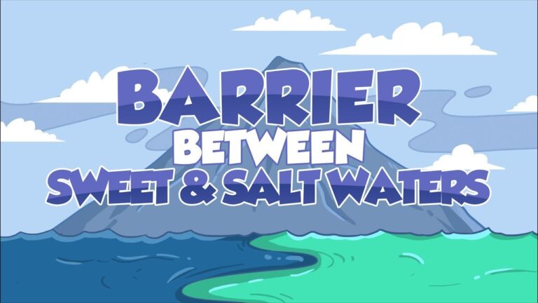 The Astonishing Barrier Between Sweet and Salty Waters: A Miracle of the Quran 🌊✨