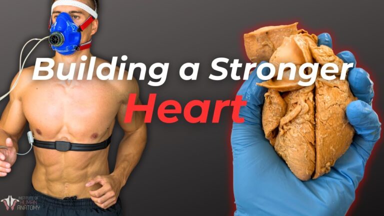 🔥 Unlocking Longevity: How VO₂ Max Can Add Years to Your Life ⏳💪