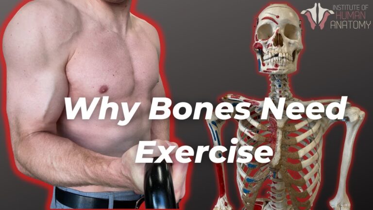 🦴 How Your Bones Change With Exercise