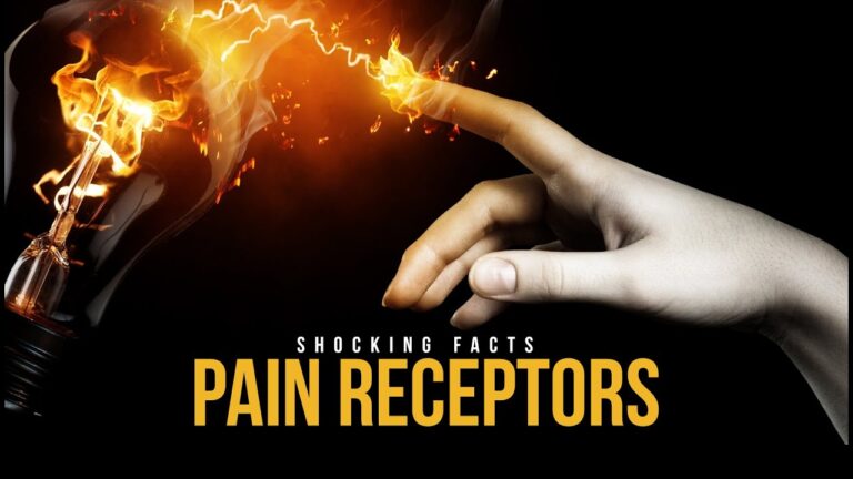 🧬 Pain Receptors and the Quran: A Scientific Revelation or Coincidence? 🔥📖