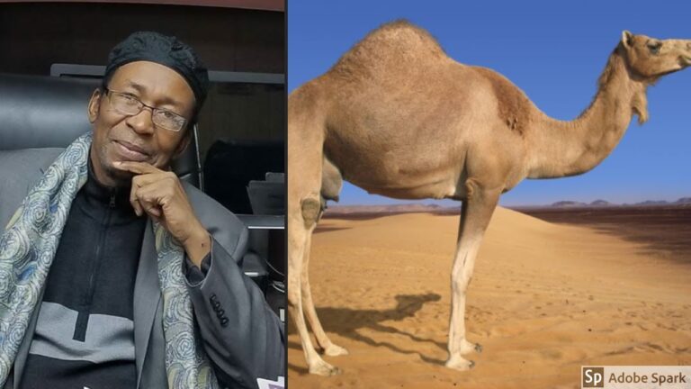 πͺ The Shocking Truth About Camels: Quranic Wisdom vs. Modern Science! ππ¬π₯
