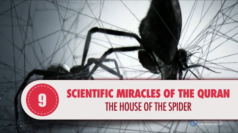 The House of the Spider: A Scientific Miracle in the Quran 🕸️