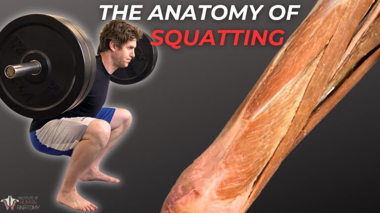 🏋️ Why You Should Squat